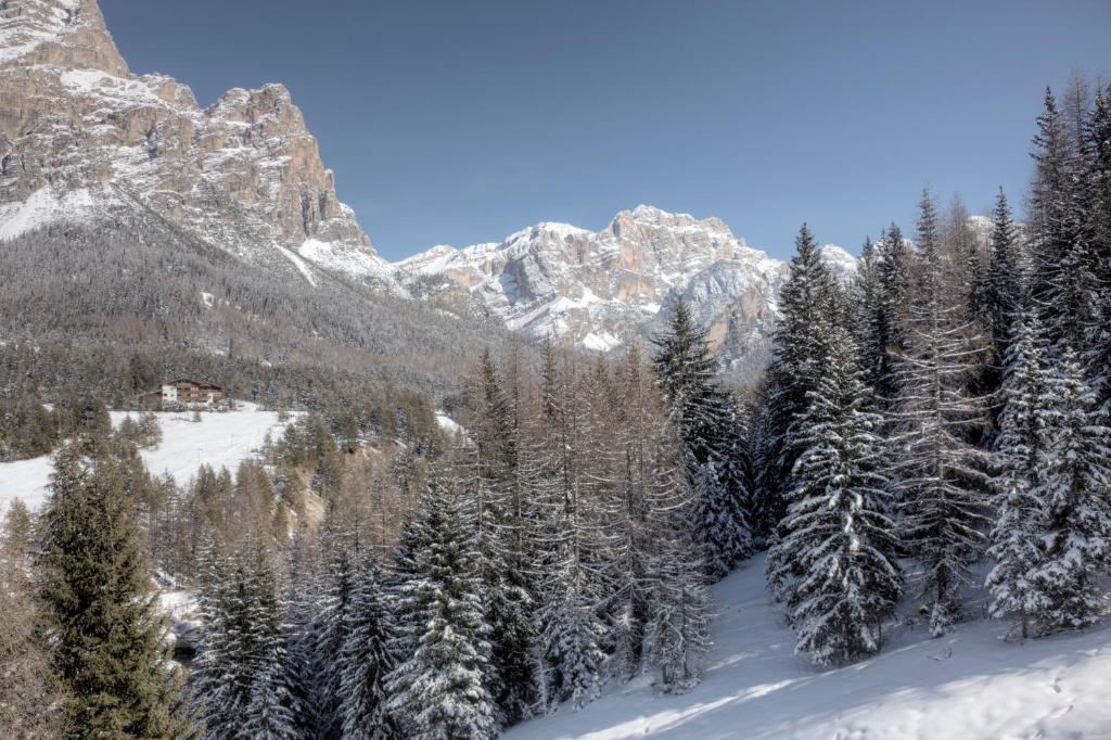 Hotel Ciasa Ai Pini San Cassiano  Dış mekan fotoğraf