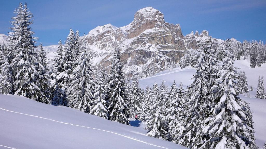 Hotel Ciasa Ai Pini San Cassiano  Dış mekan fotoğraf